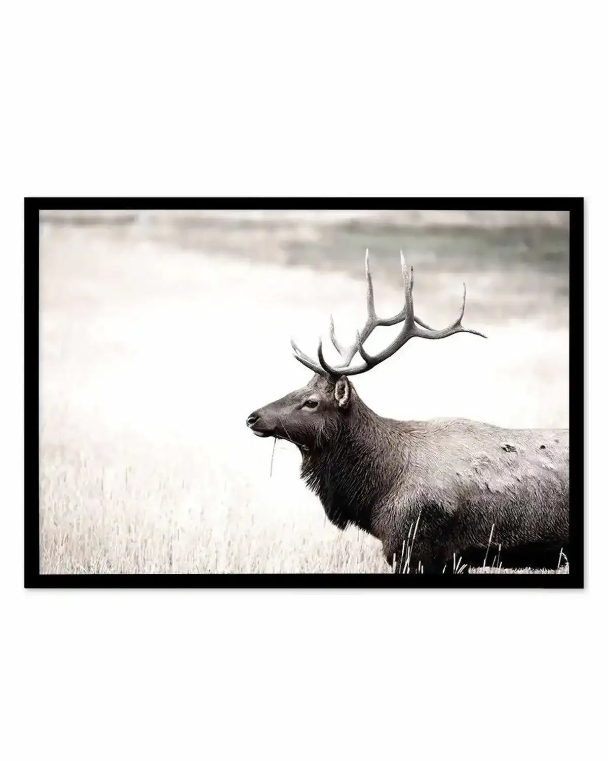 Mountain Stag | LS Art Print from Olive et Oriel where you can shop wallpaper and artworks online