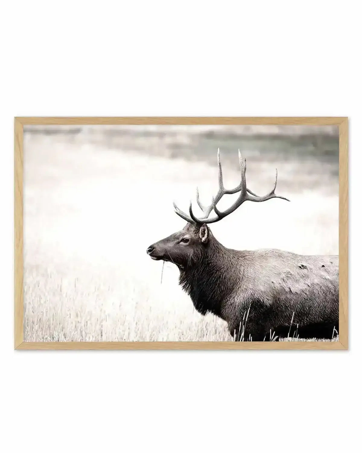 Mountain Stag | LS Art Print from Olive et Oriel where you can shop wallpaper and artworks online