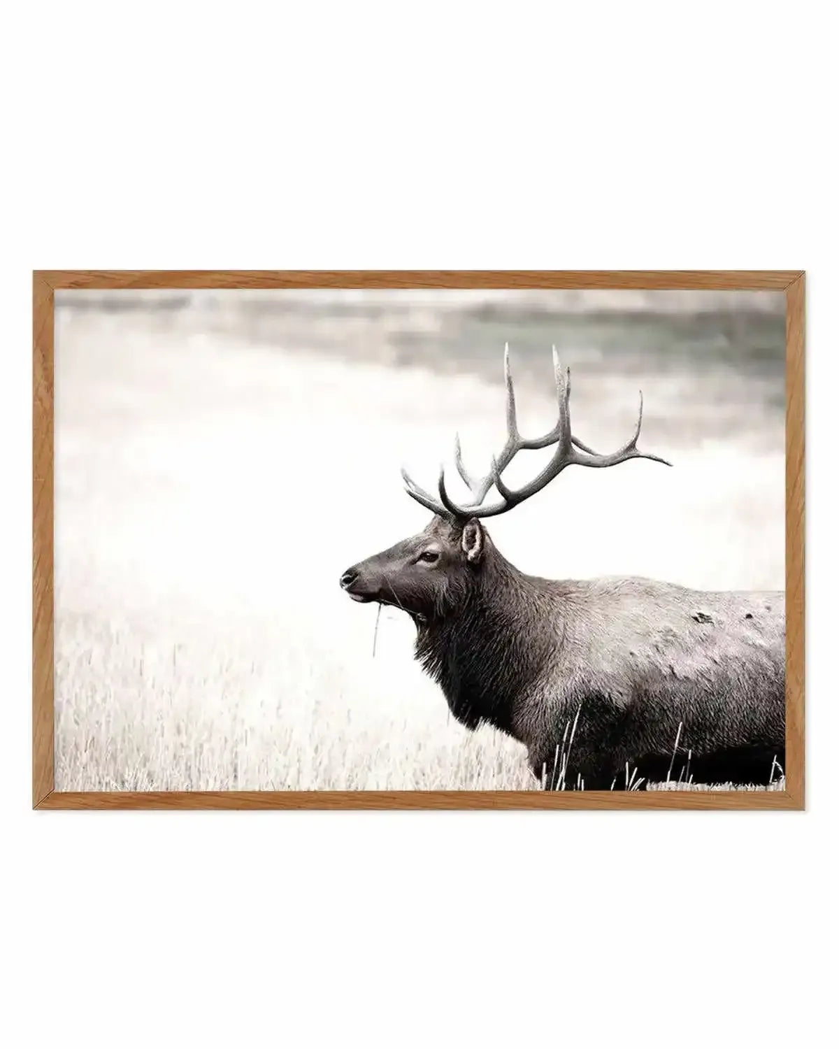 Mountain Stag | LS Art Print from Olive et Oriel where you can shop wallpaper and artworks online
