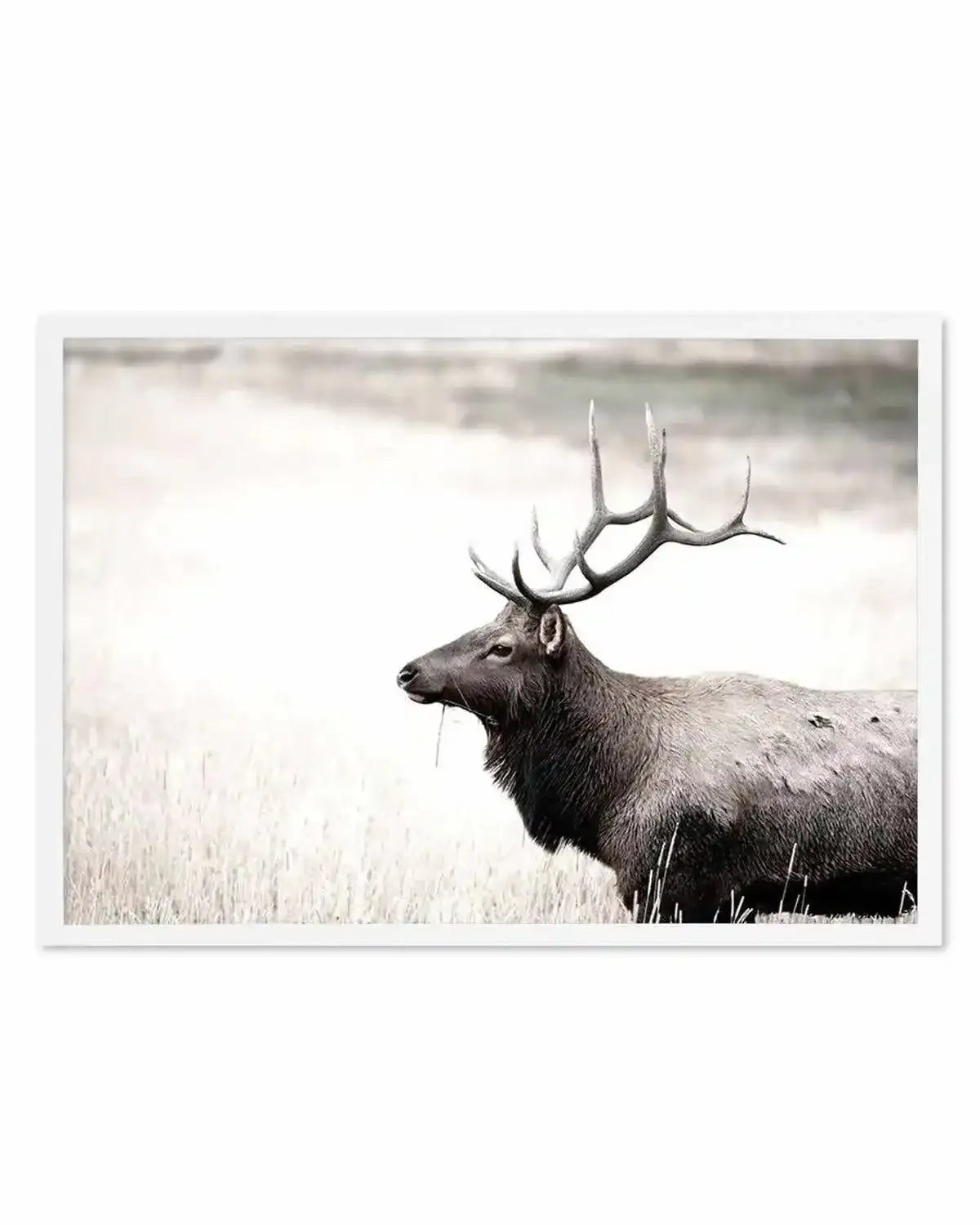 Mountain Stag | LS Art Print from Olive et Oriel where you can shop wallpaper and artworks online