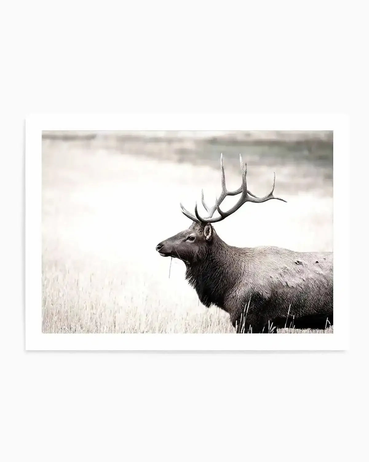 Mountain Stag | LS Art Print from Olive et Oriel where you can shop wallpaper and artworks online