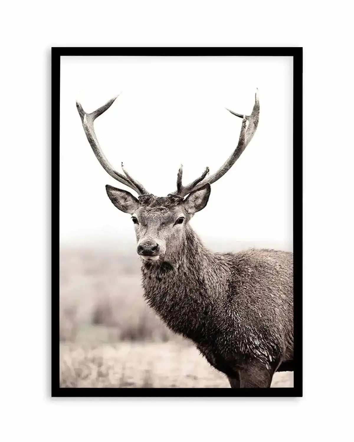 Mountain Stag | PT Art Print from Olive et Oriel where you can shop wallpaper and artworks online