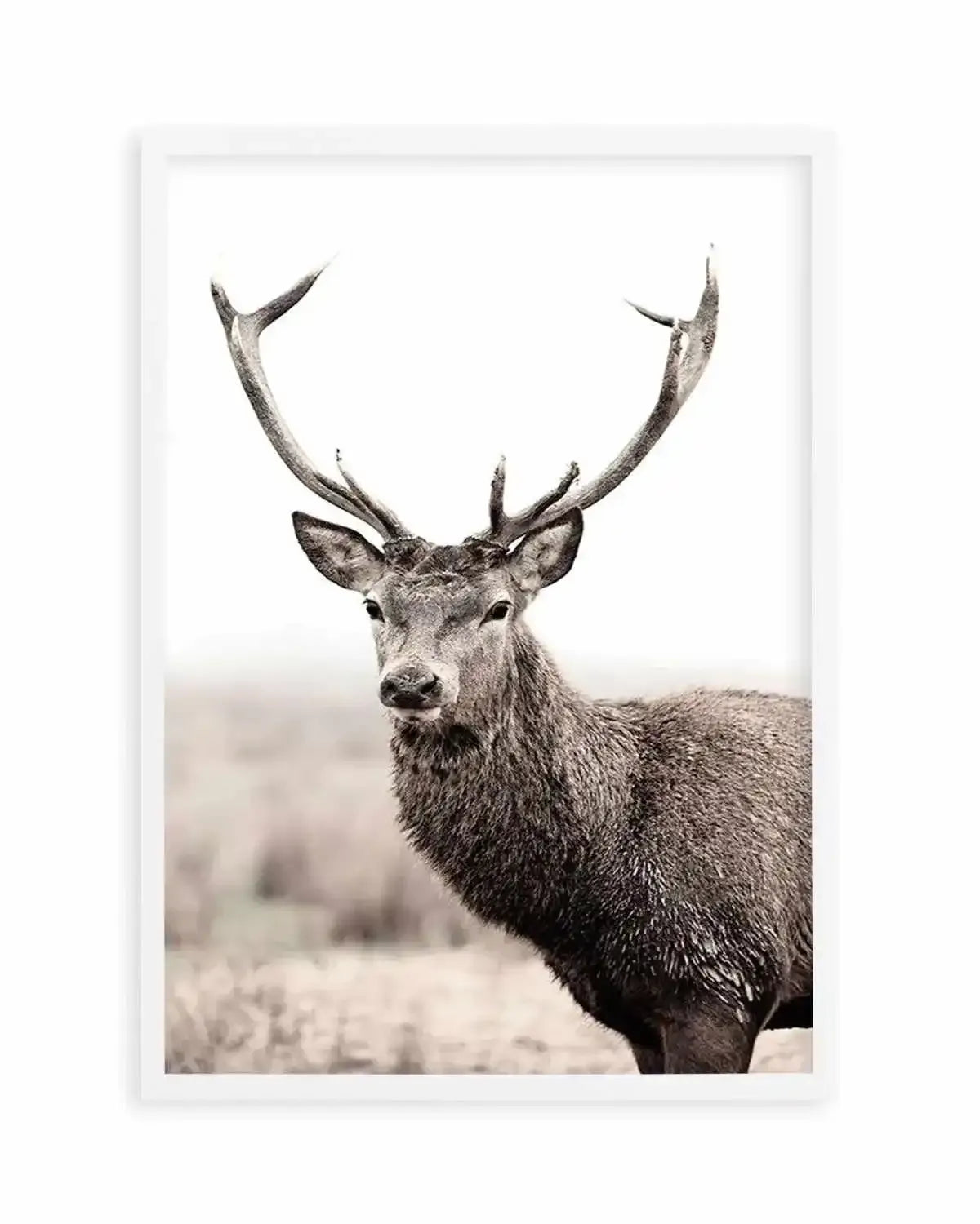 Mountain Stag | PT Art Print from Olive et Oriel where you can shop wallpaper and artworks online