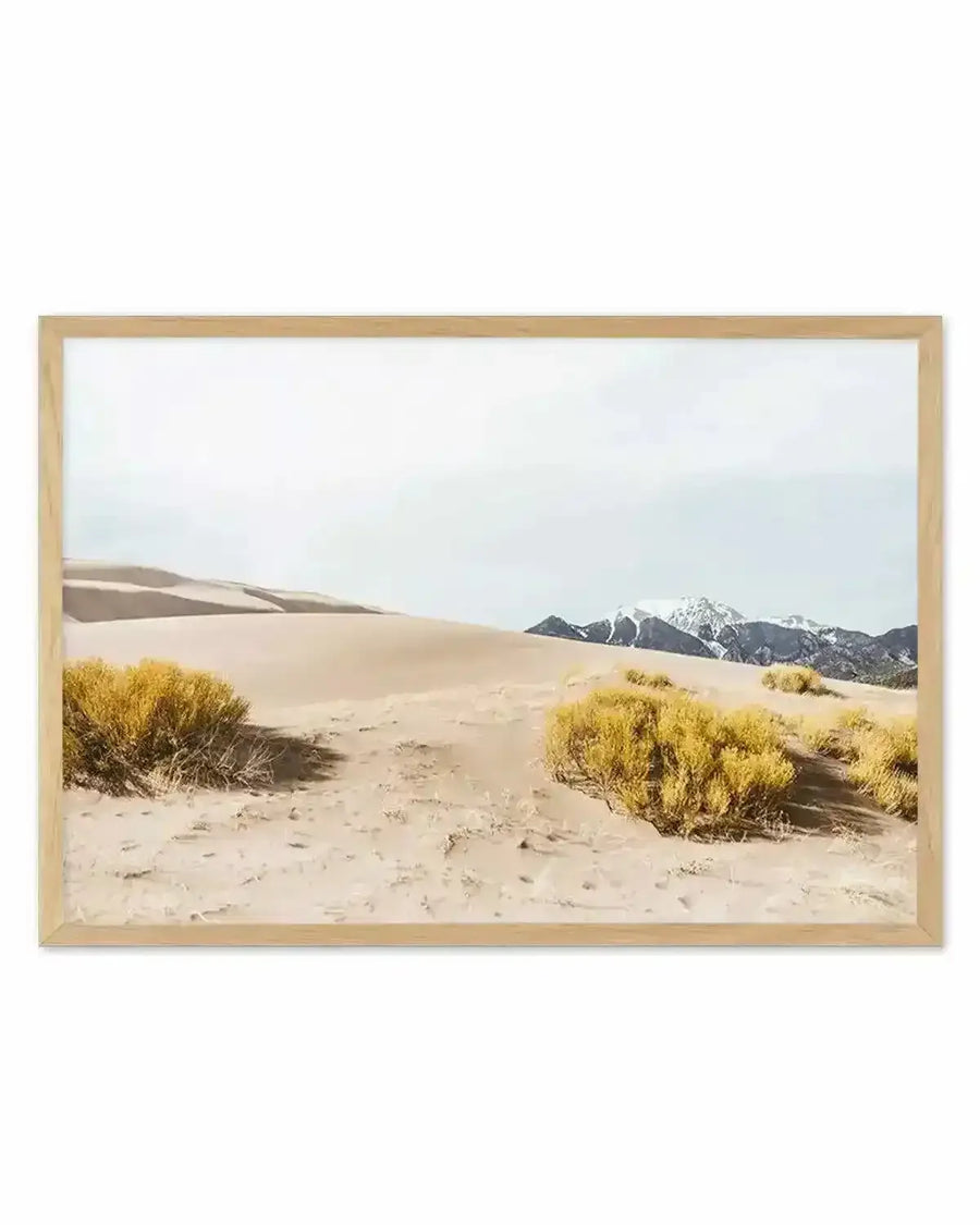 Framed photograph of a desert landscape with sand dunes and snow-capped mountains in the distance, displayed in a natural wood frame with white border. The composition features golden-yellow desert shrubs in the foreground and soft, rolling sand dunes under a pale, overcast sky.
