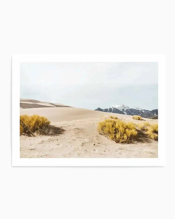 Framed photograph of a desert landscape with sand dunes and snow-capped mountains under an overcast sky, with a white border. The composition features rolling sand dunes in the foreground with patches of golden-yellow desert shrubs, leading to distant mountains with white snow on their peaks.