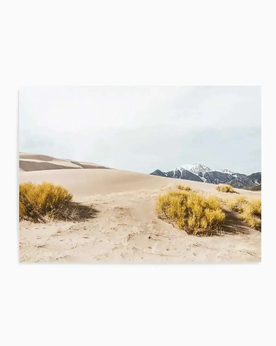 Photography art print of a desert landscape with large sand dunes and snow-capped mountains under a light grey sky. The foreground features golden-yellow desert shrubs scattered across the sandy terrain.
