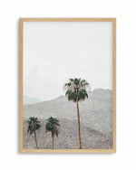 Mountains of Palm Springs | PT Art Print