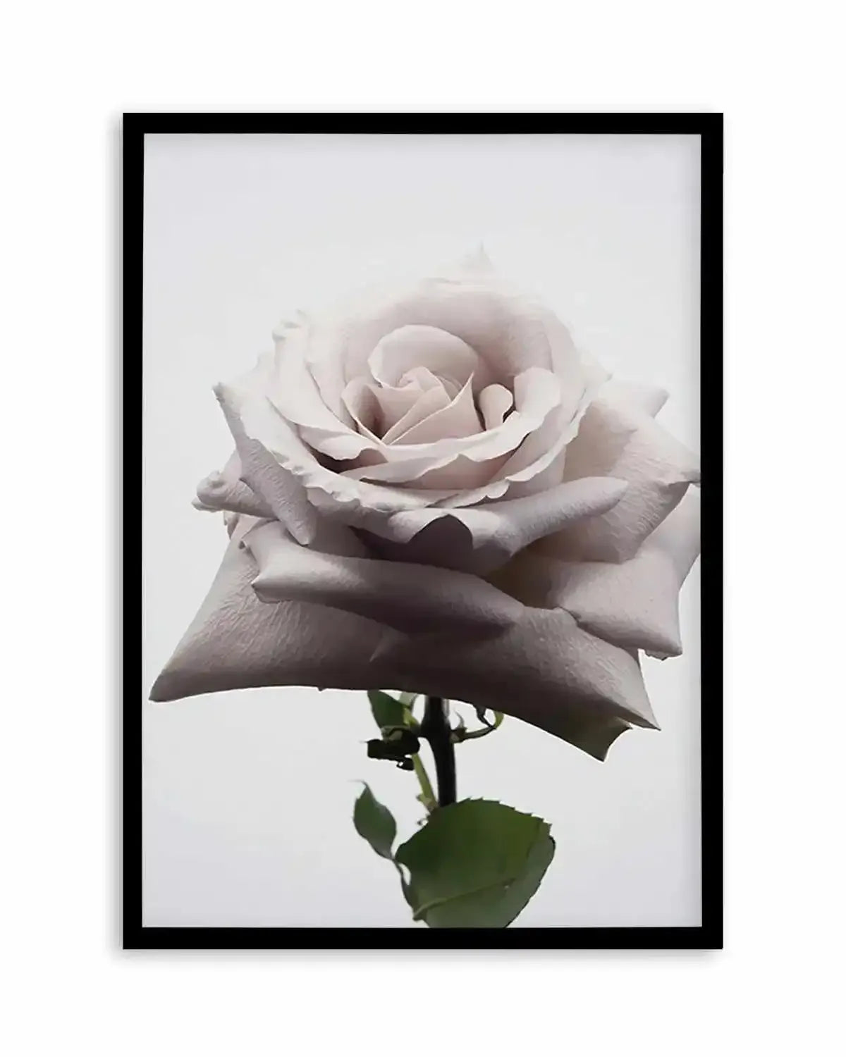 Muse Art Print from Olive et Oriel where you can shop wallpaper and artworks online