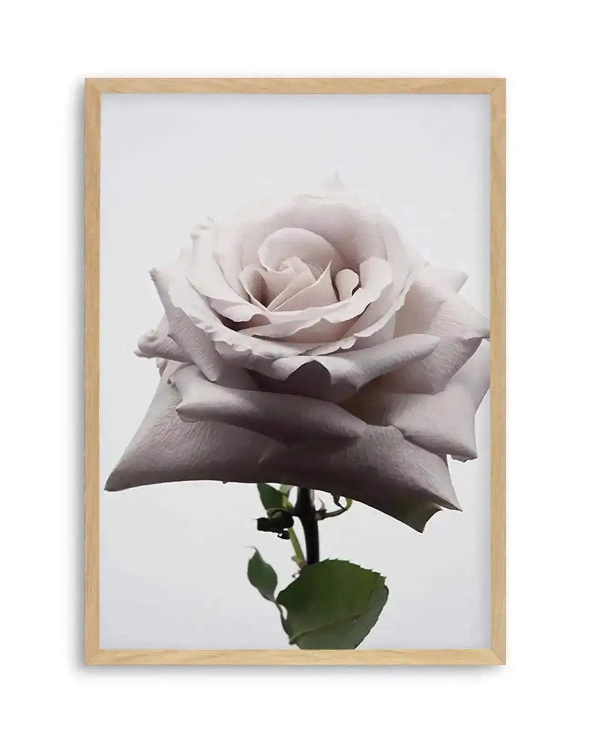 Muse Art Print from Olive et Oriel where you can shop wallpaper and artworks online