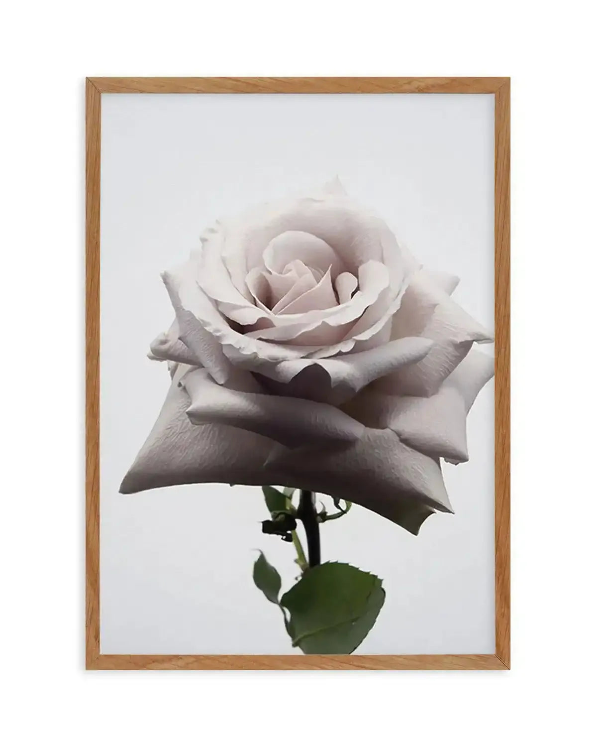 Muse Art Print-PRINT-Olive et Oriel-Olive et Oriel-50x70 cm | 19.6" x 27.5"-Walnut-With White Border-Buy-Australian-Art-Prints-Online-with-Olive-et-Oriel-Your-Artwork-Specialists-Austrailia-Decorate-With-Coastal-Photo-Wall-Art-Prints-From-Our-Beach-House-Artwork-Collection-Fine-Poster-and-Framed-Artwork