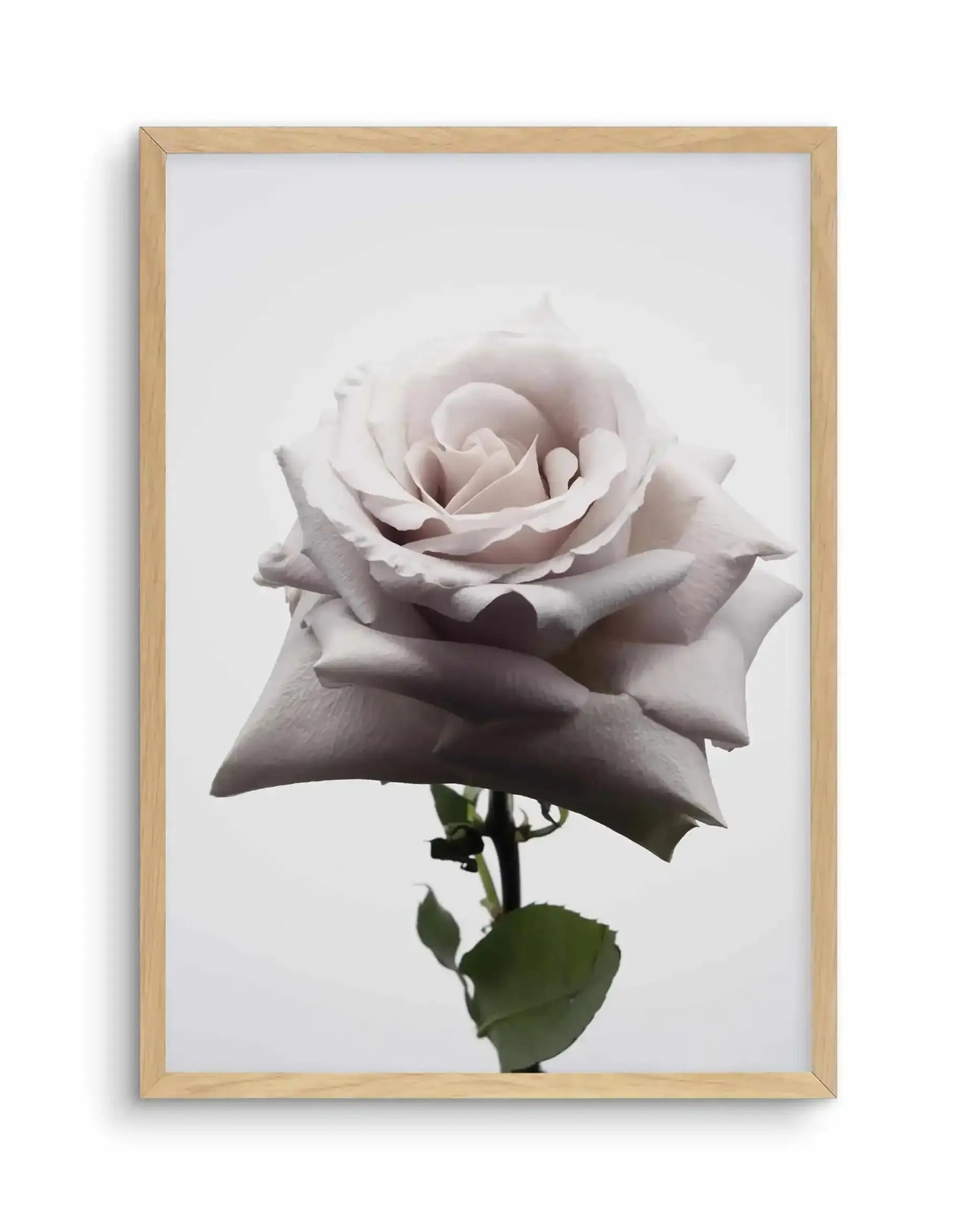 Muse Art Print-PRINT-Olive et Oriel-Olive et Oriel-A5 | 5.8" x 8.3" | 14.8 x 21cm-Oak-With White Border-Buy-Australian-Art-Prints-Online-with-Olive-et-Oriel-Your-Artwork-Specialists-Austrailia-Decorate-With-Coastal-Photo-Wall-Art-Prints-From-Our-Beach-House-Artwork-Collection-Fine-Poster-and-Framed-Artwork