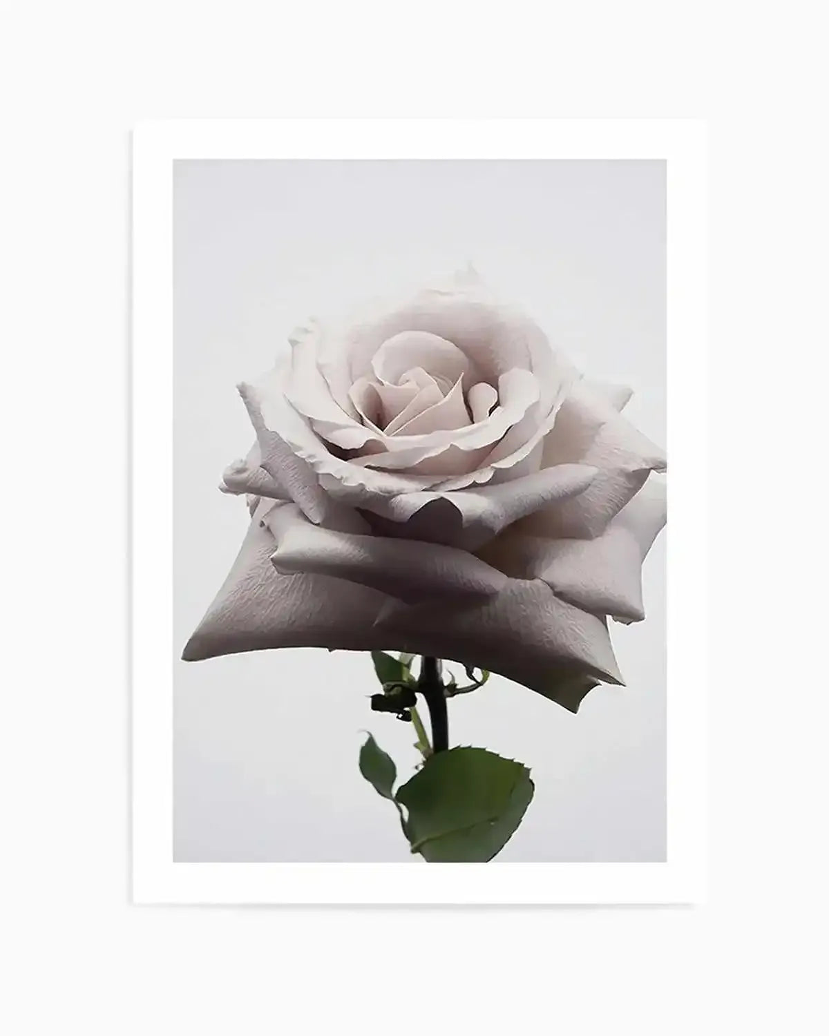 Muse Art Print from Olive et Oriel where you can shop wallpaper and artworks online