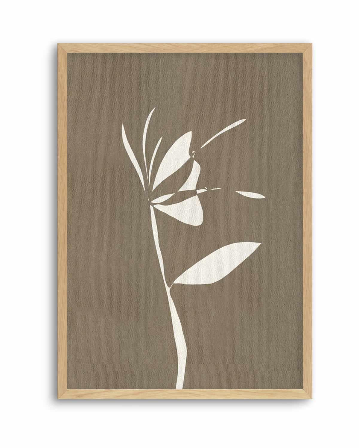Muted Petals No 6 by Shatha Al Dafai | Art Print from Olive et Oriel where you can shop wallpaper and artworks online