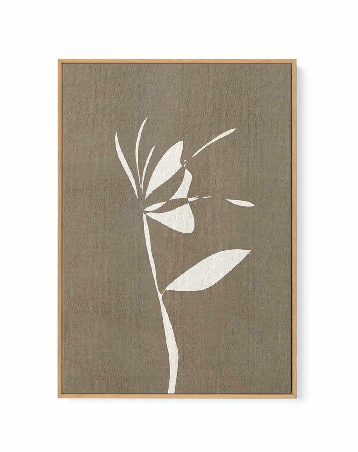 Muted Petals No 6 by Shatha Al Dafai | Framed Canvas Art Print from Olive et Oriel where you can shop wallpaper and artworks online