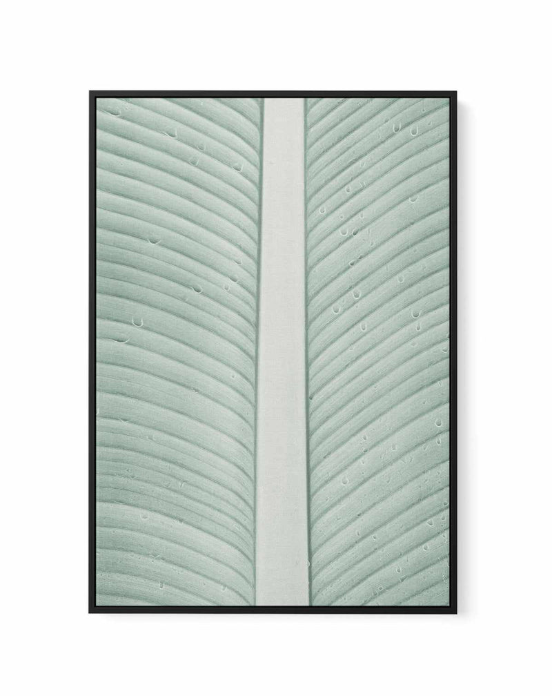 My Mint Moment By Clint | Framed Canvas Art Print