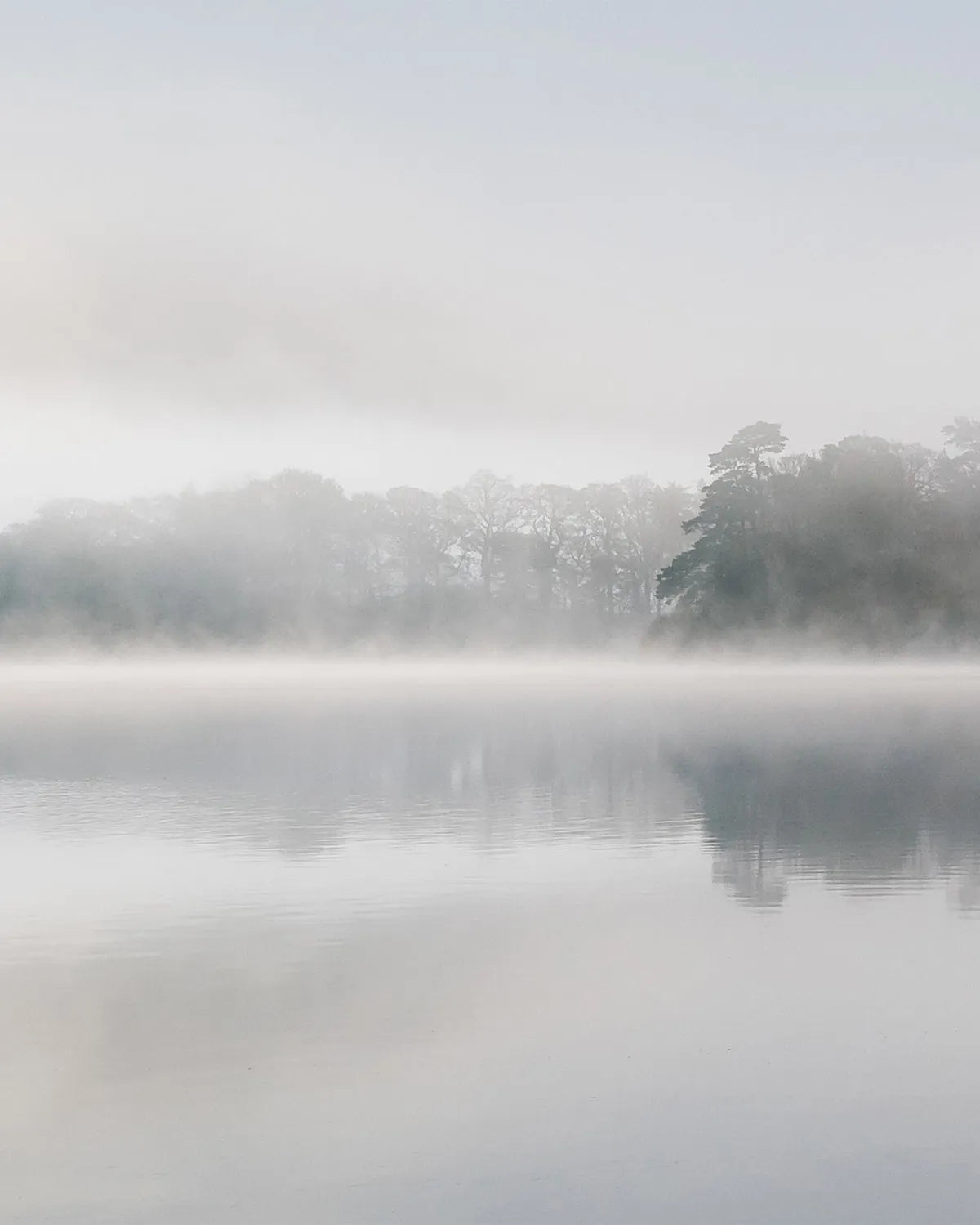 Mystic Lake Photo Mural Wallpaper from Olive et Oriel where you can shop wallpaper and artworks online