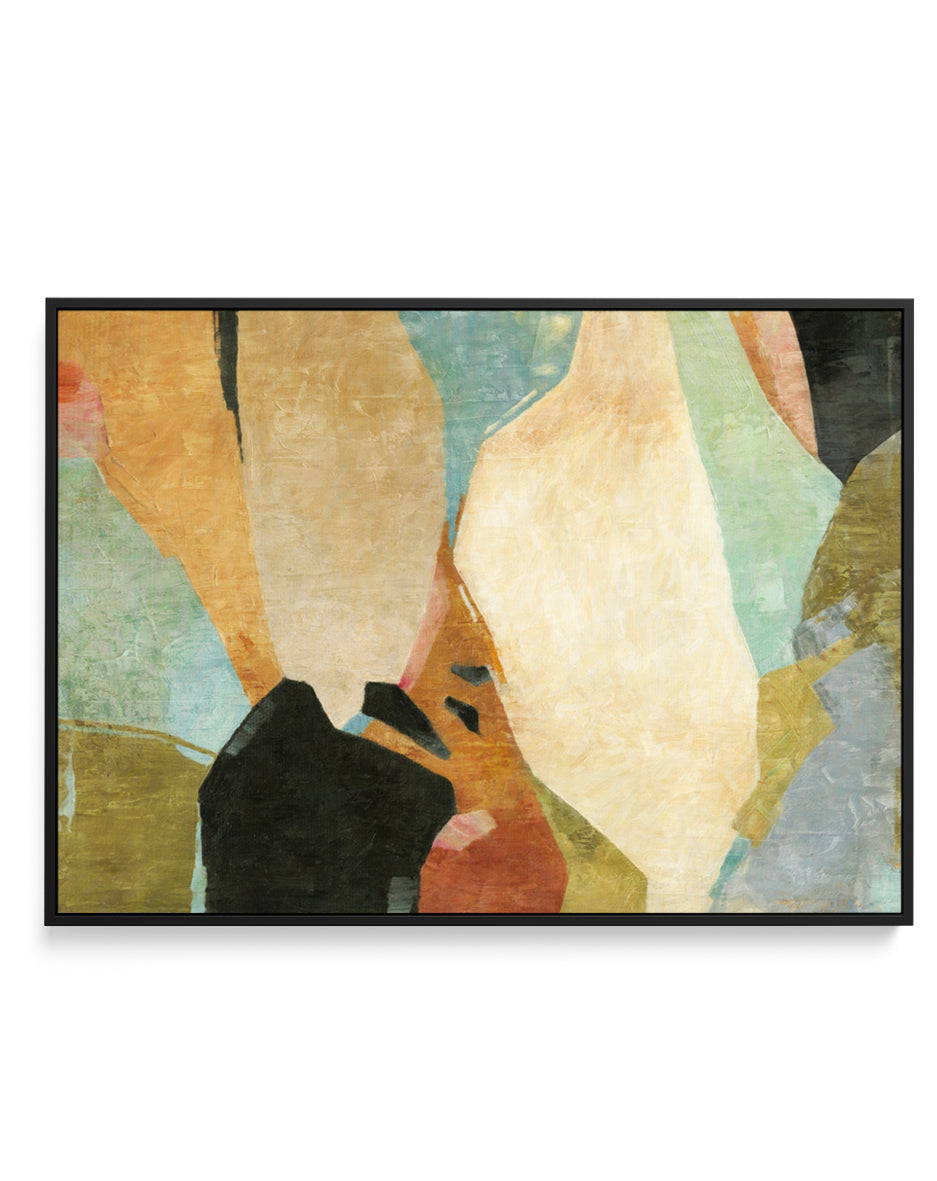 Fragments by Suzanne Nicoll | Framed Canvas Art Print