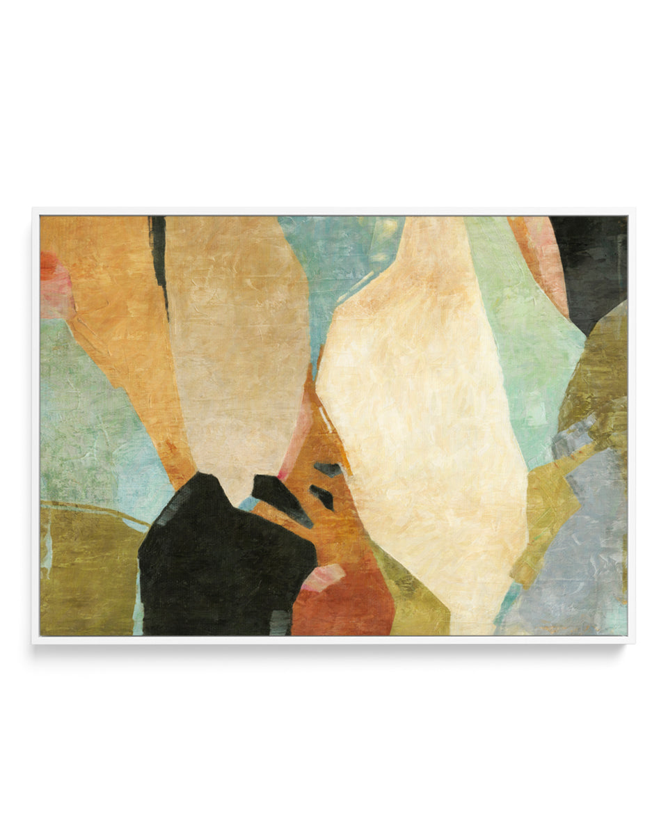 Fragments by Suzanne Nicoll | Framed Canvas Art Print