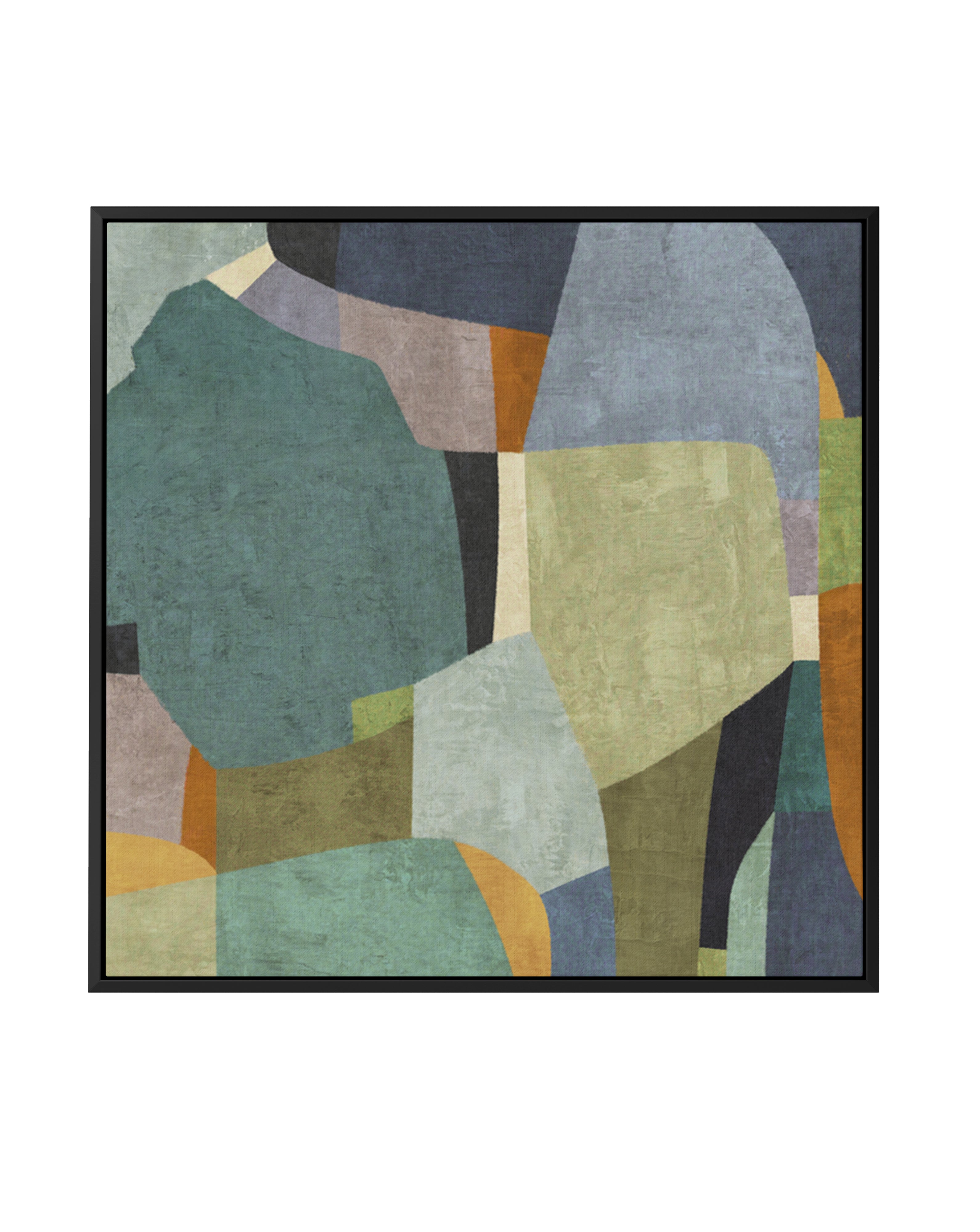Passing Forms by Suzanne Nicoll | Framed Canvas Art Print