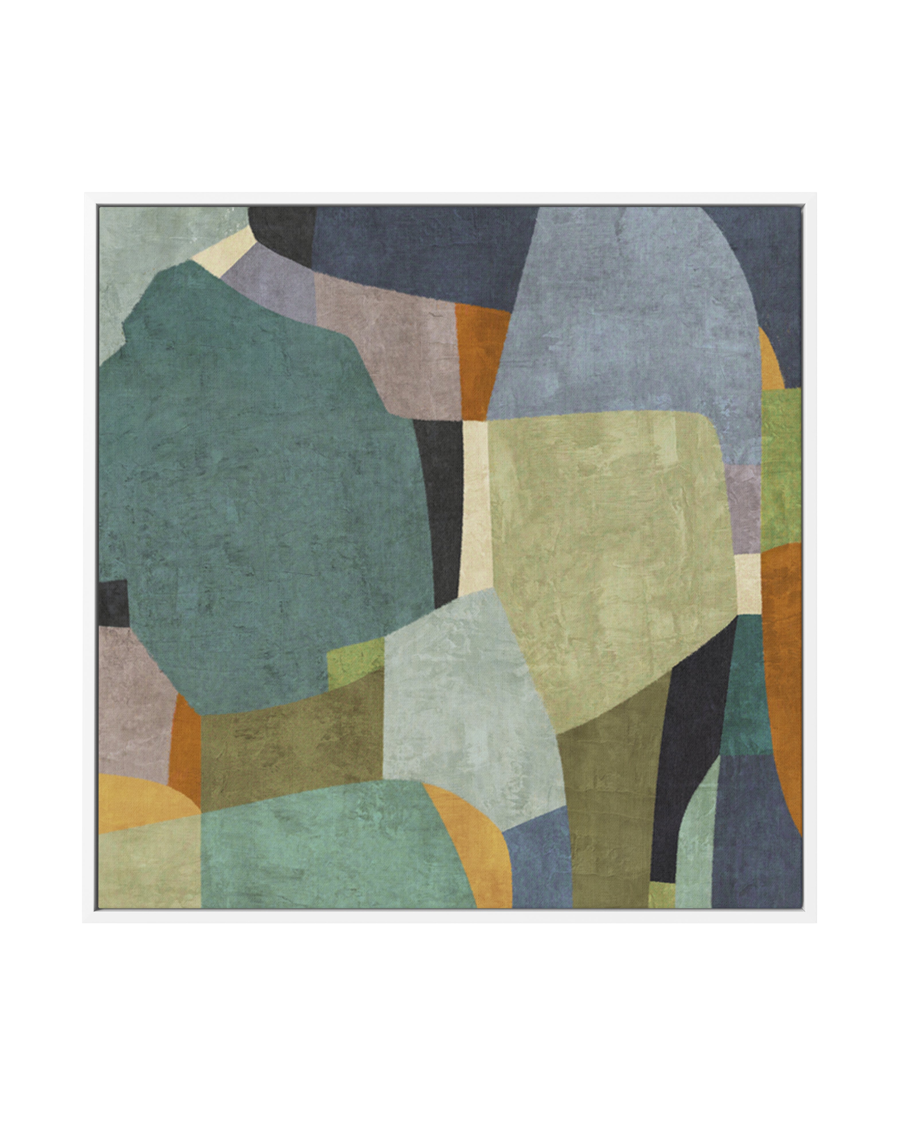 Passing Forms by Suzanne Nicoll | Framed Canvas Art Print