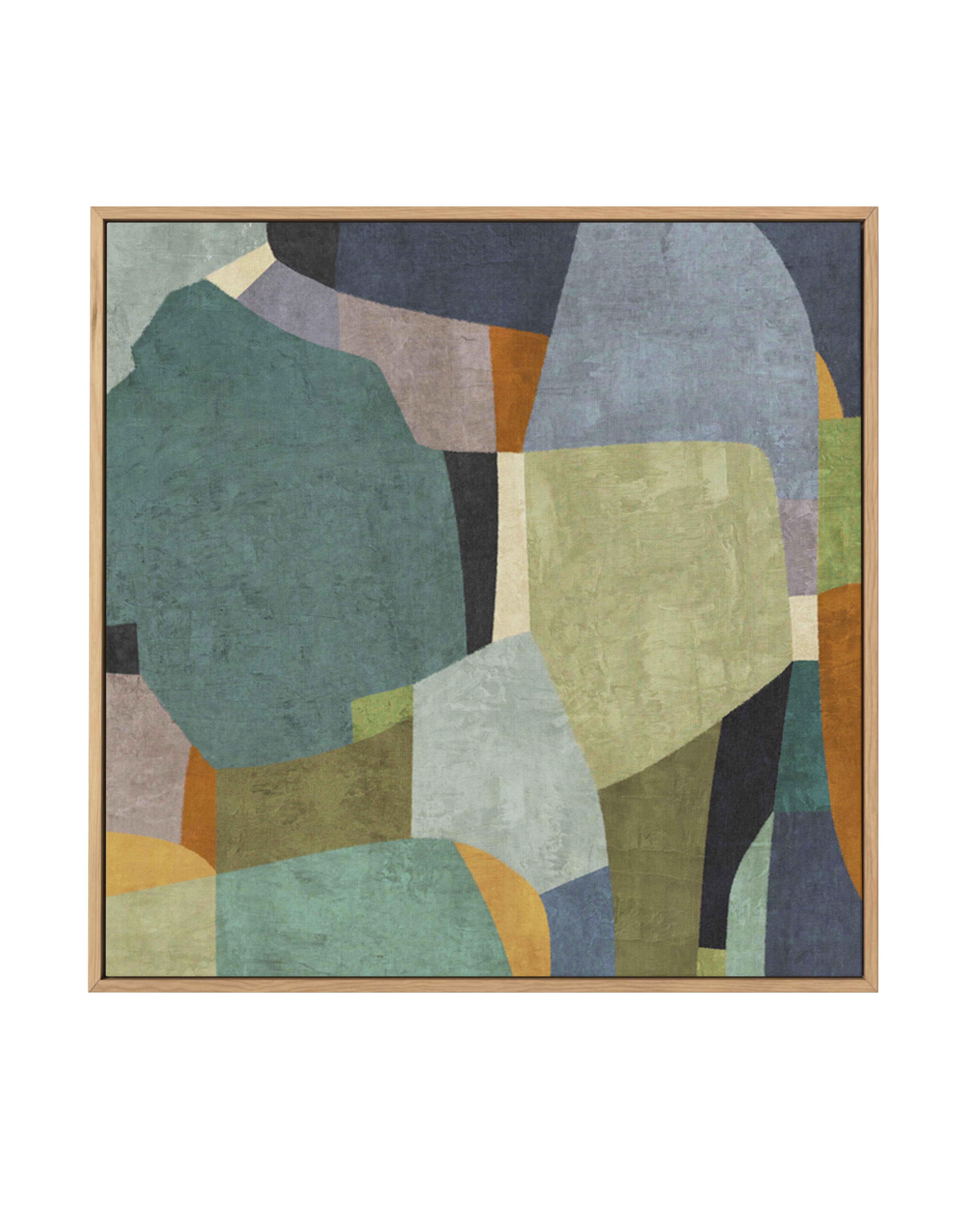 Passing Forms by Suzanne Nicoll | Framed Canvas Art Print