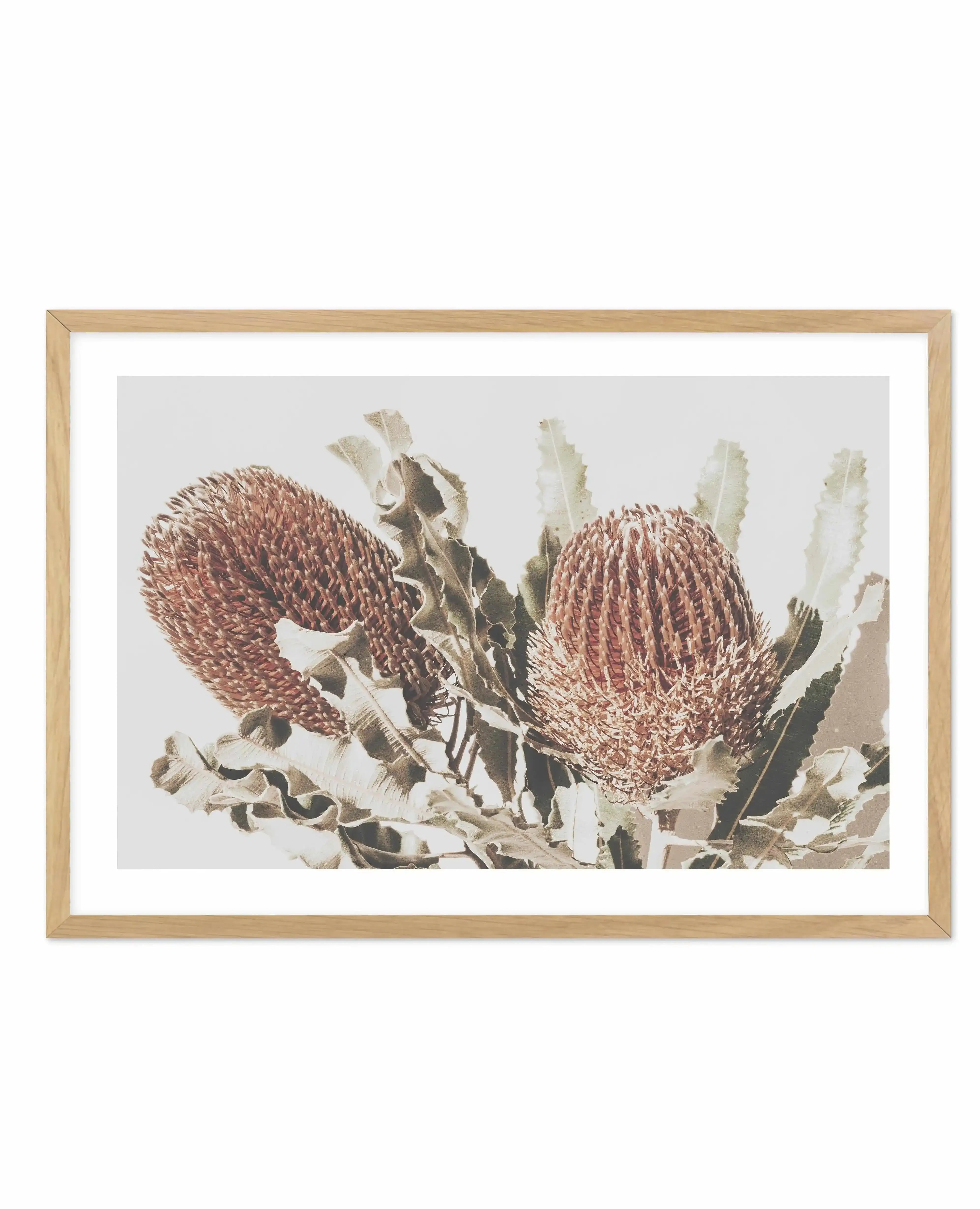 Native Banksia | LS Art Print-PRINT-Olive et Oriel-Olive et Oriel-A4 | 8.3" x 11.7" | 21 x 29.7cm-Oak-With White Border-Buy-Australian-Art-Prints-Online-with-Olive-et-Oriel-Your-Artwork-Specialists-Austrailia-Decorate-With-Coastal-Photo-Wall-Art-Prints-From-Our-Beach-House-Artwork-Collection-Fine-Poster-and-Framed-Artwork