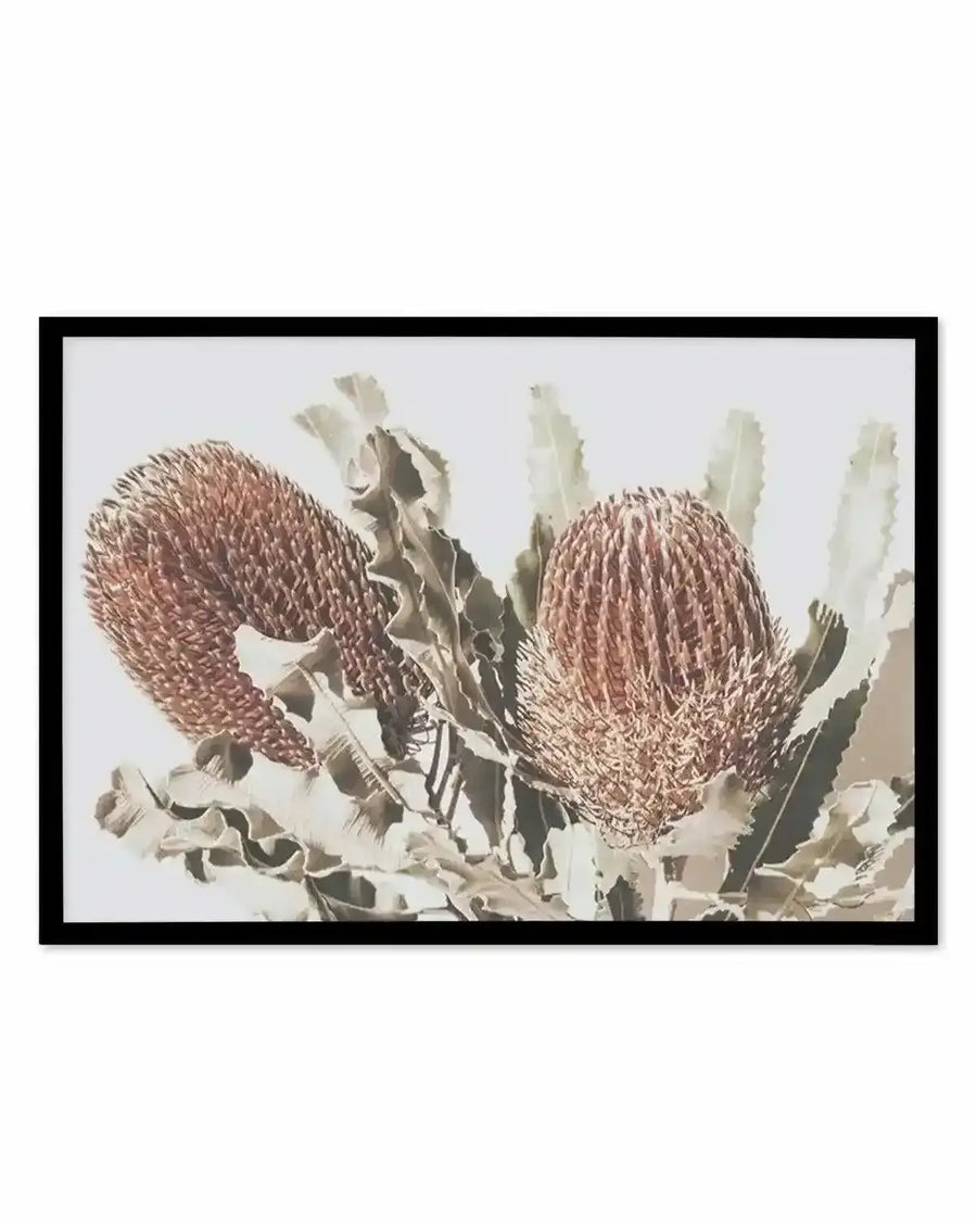 Native Banksia | LS Art Print from Olive et Oriel where you can shop wallpaper and artworks online