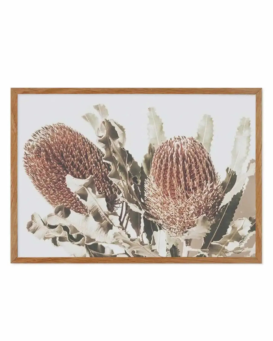 Native Banksia | LS Art Print from Olive et Oriel where you can shop wallpaper and artworks online