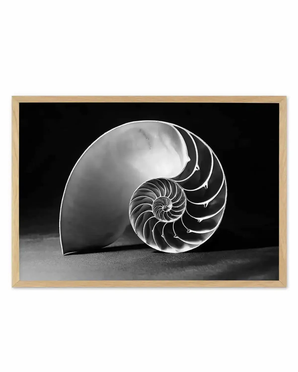 Nautilus B&W Art Print from Olive et Oriel where you can shop wallpaper and artworks online