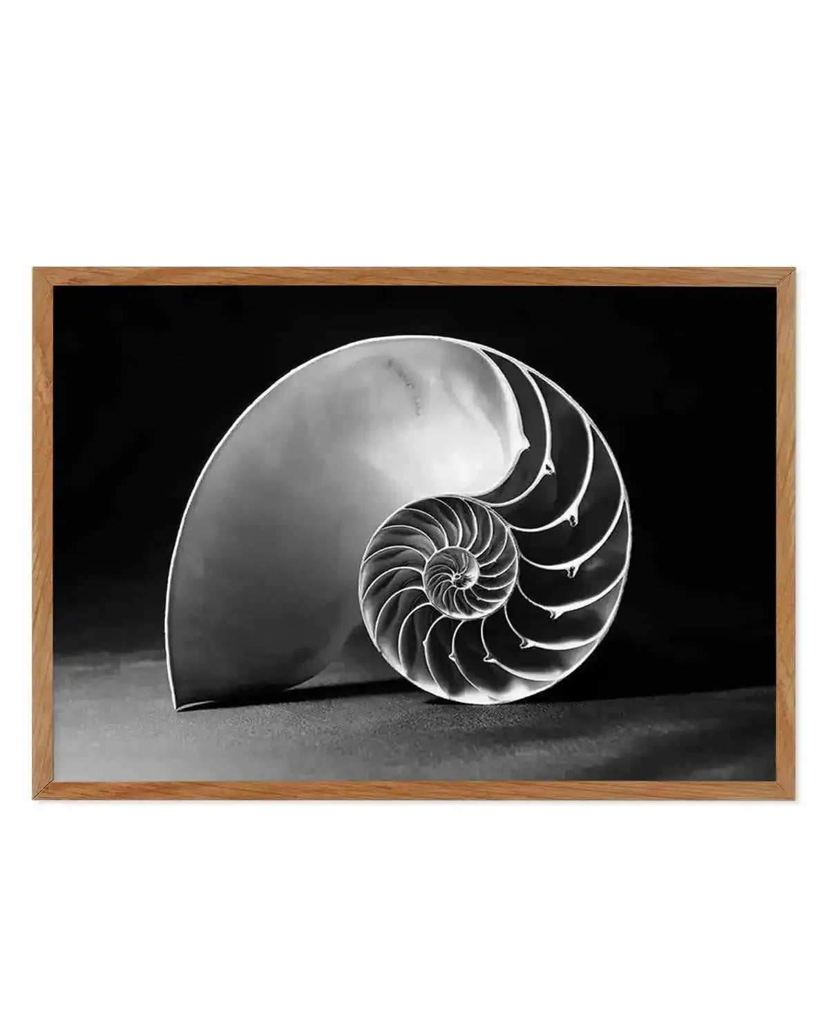 Nautilus B&W Art Print from Olive et Oriel where you can shop wallpaper and artworks online