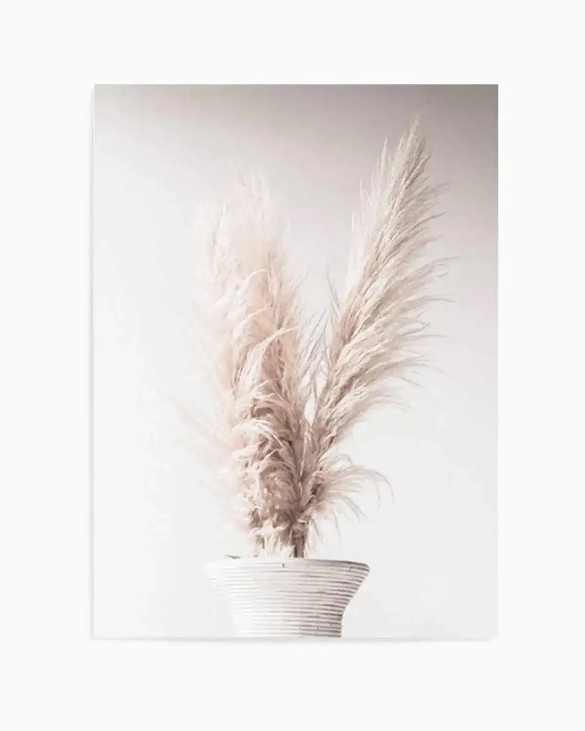 Navire de la Pampa Art Print from Olive et Oriel where you can shop wallpaper and artworks online