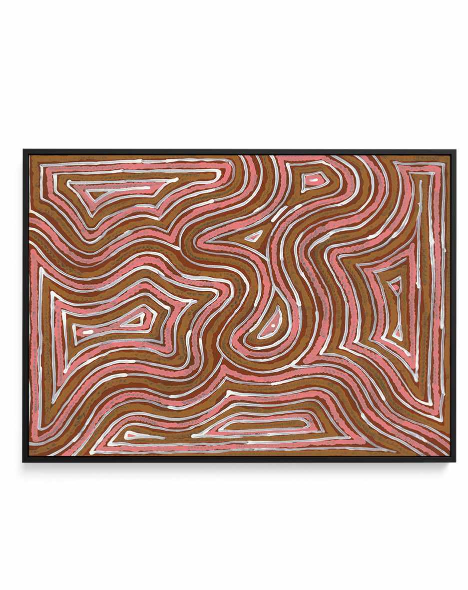 Ngalyipi Jukurrpa (Snake Vine Dreaming) - Purturlu by Ingrid Napangardi Williams | Framed Canvas Art Print