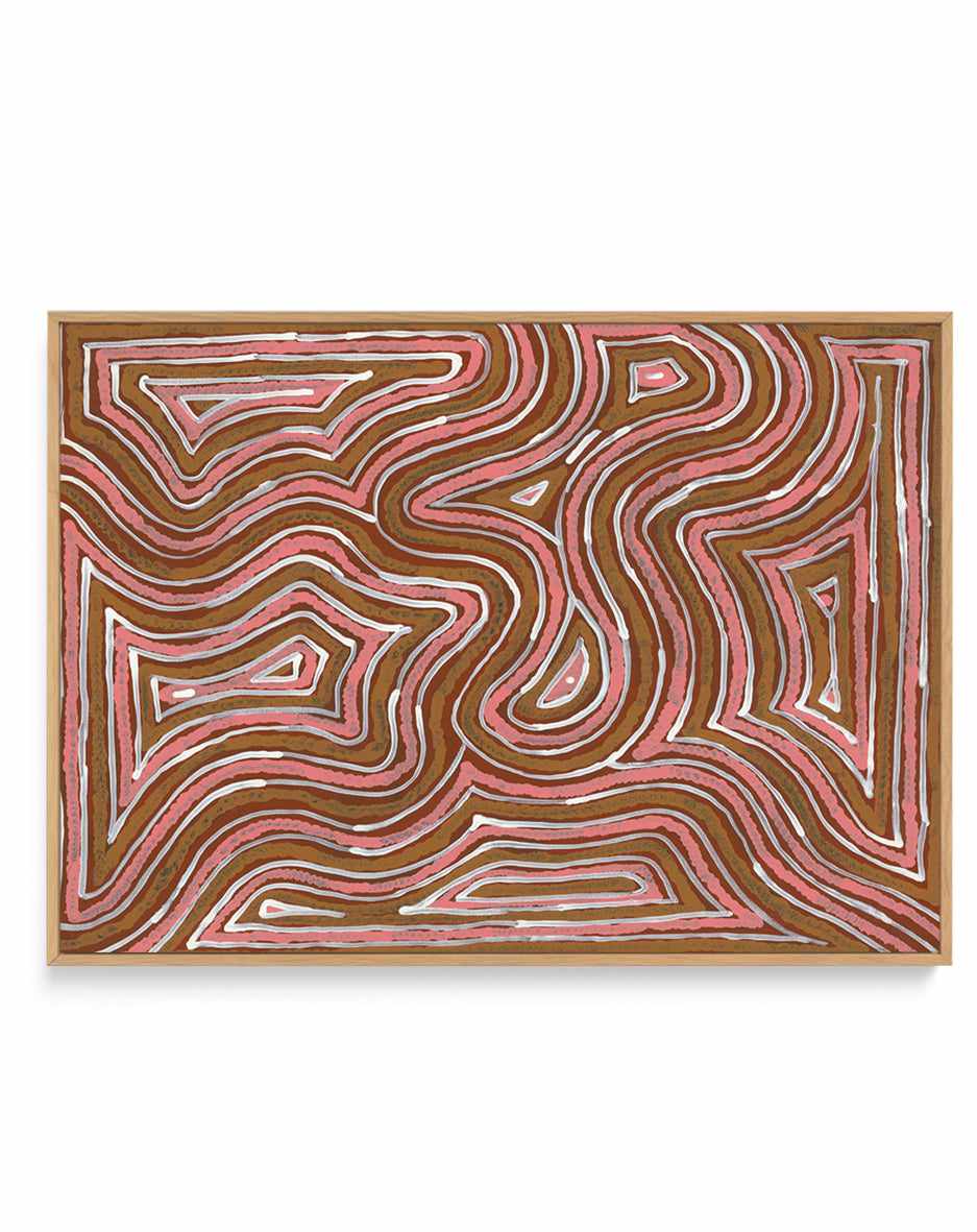 Ngalyipi Jukurrpa (Snake Vine Dreaming) - Purturlu by Ingrid Napangardi Williams | Framed Canvas Art Print