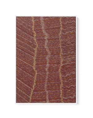 Ngapa Jukurrpa II (Water Dreaming) - Mikanji by Andrea Napanangka Tasman | Framed Canvas Art Print from Olive et Oriel where you can shop wallpaper and artworks online