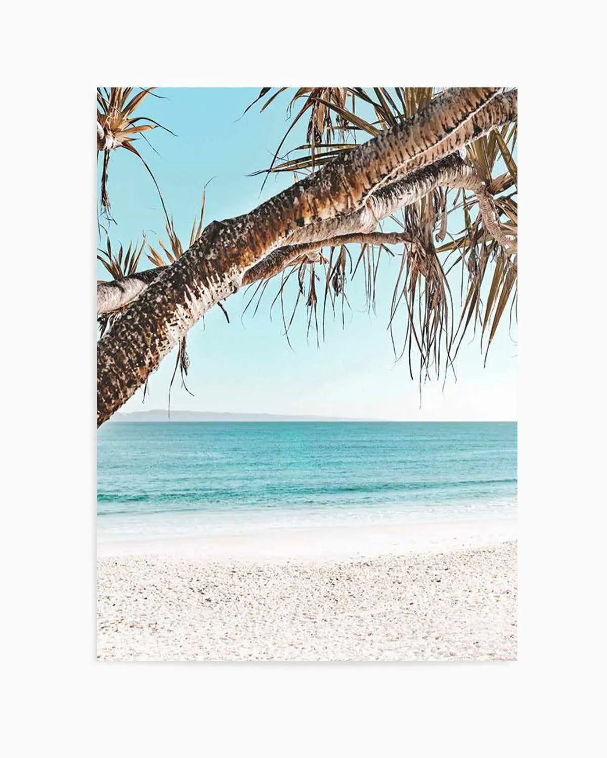 Noosa Days I Art Print from Olive et Oriel where you can shop wallpaper and artworks online