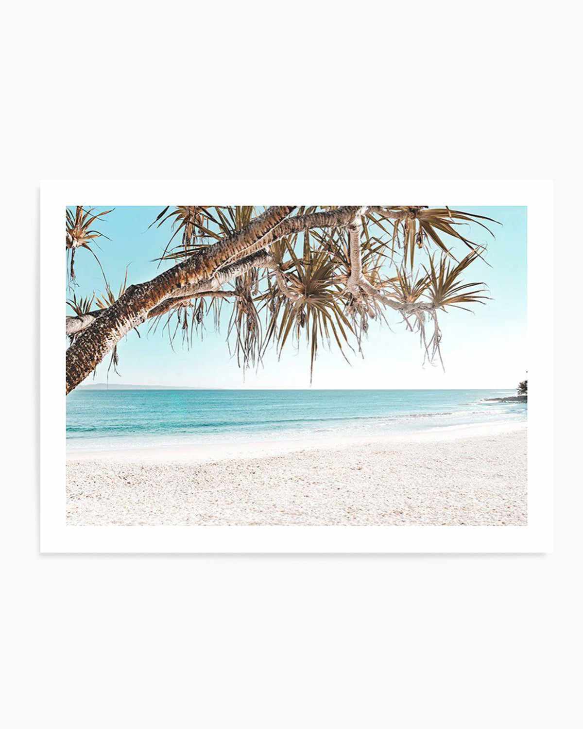 Noosa Days | LS Art Print