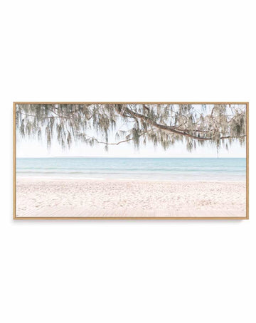 Noosa Dreaming | Panoramic Canvas Art Print from Olive et Oriel where you can shop wallpaper and artworks online