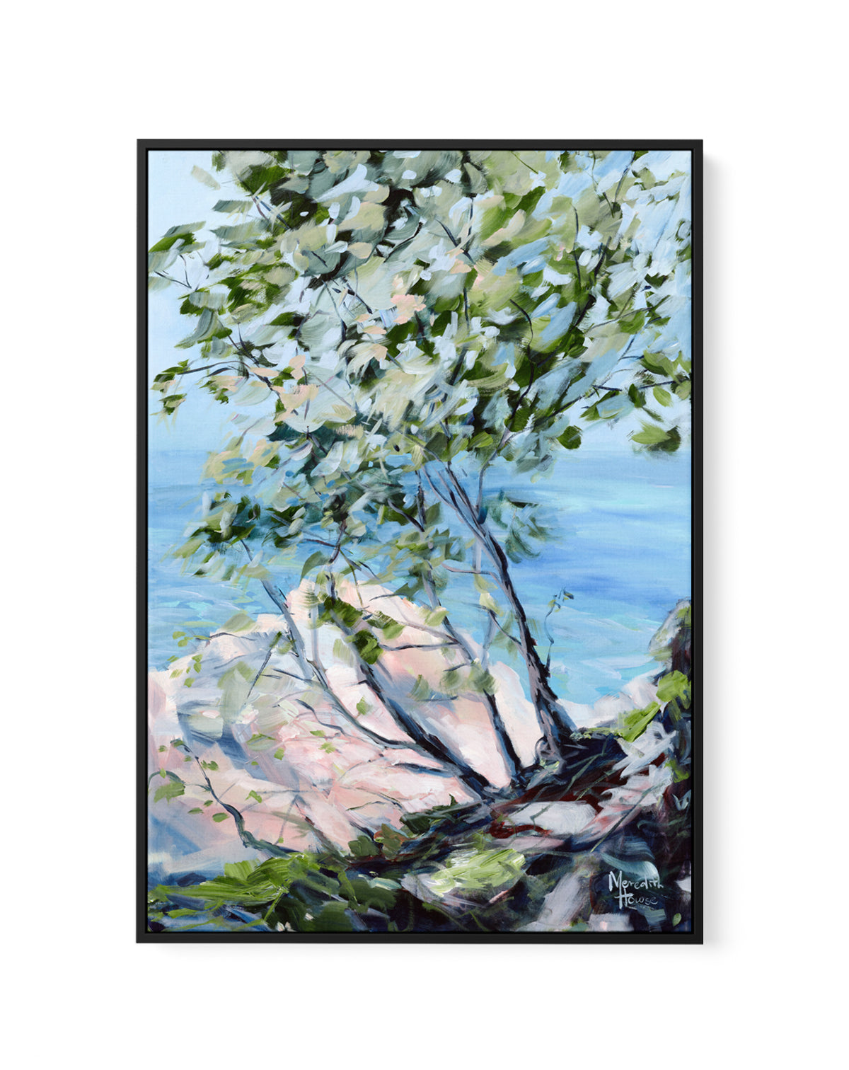 Noosa National Park by Meredith Howse | Framed Canvas Art Print