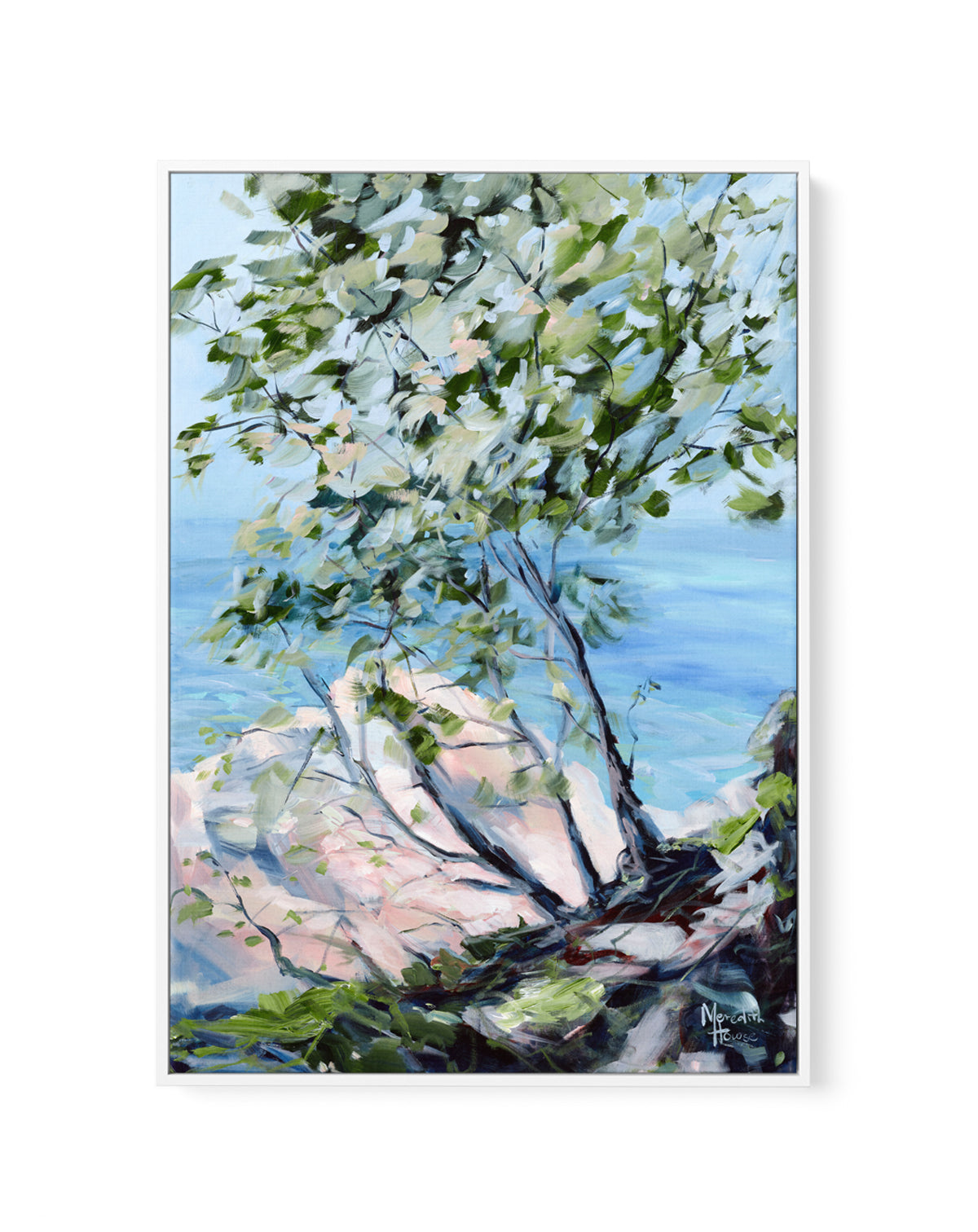 Noosa National Park by Meredith Howse | Framed Canvas Art Print