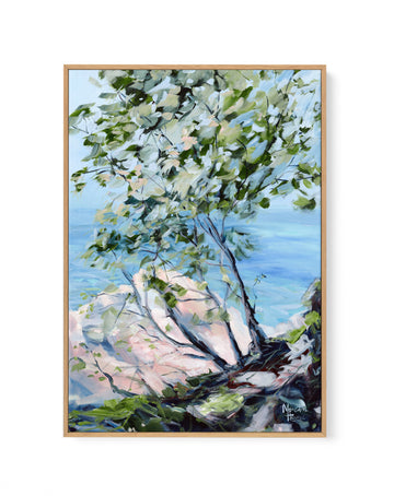 Noosa National Park by Meredith Howse | Framed Canvas Wall Art