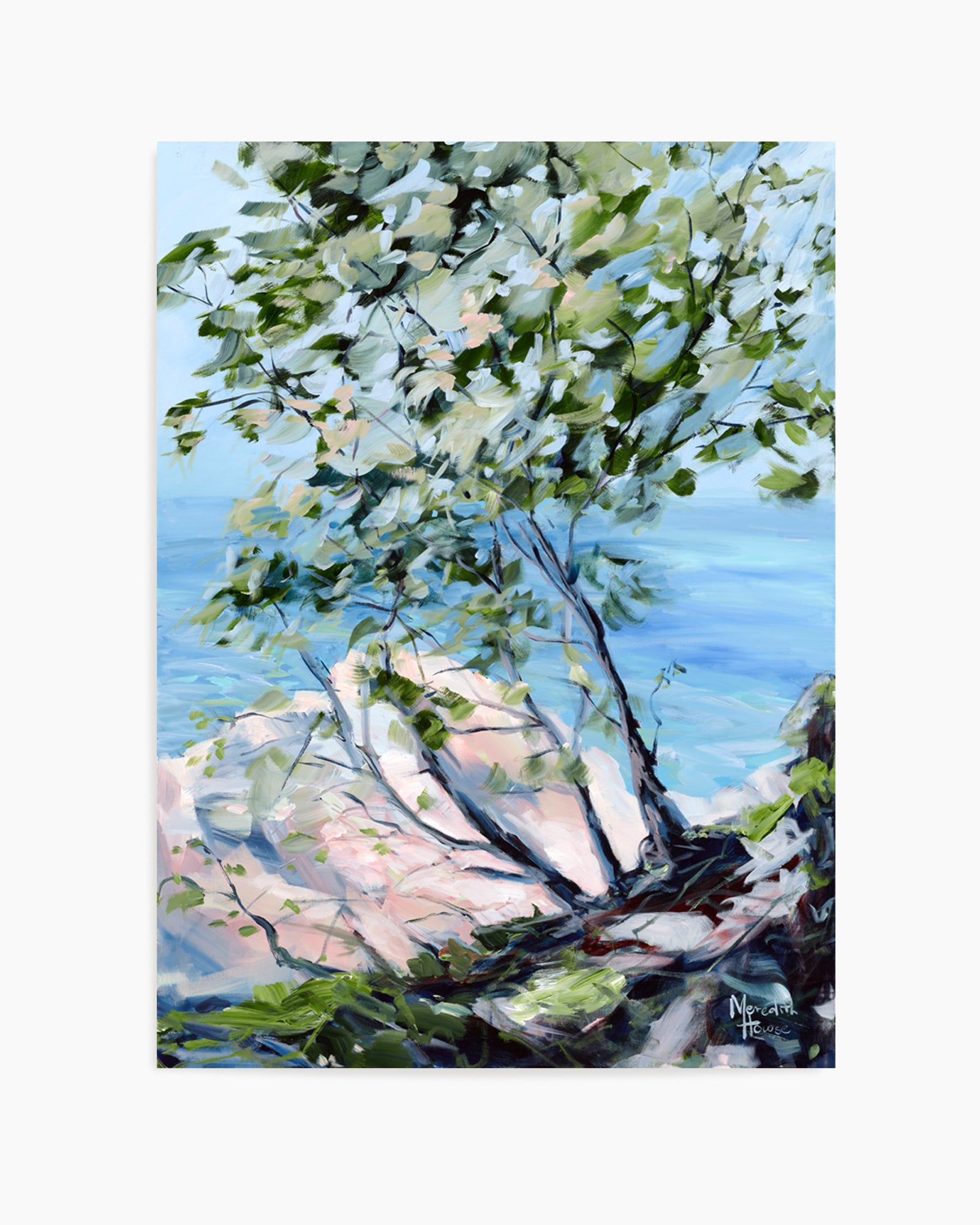 Noosa National Park by Meredith Howse | Art Print