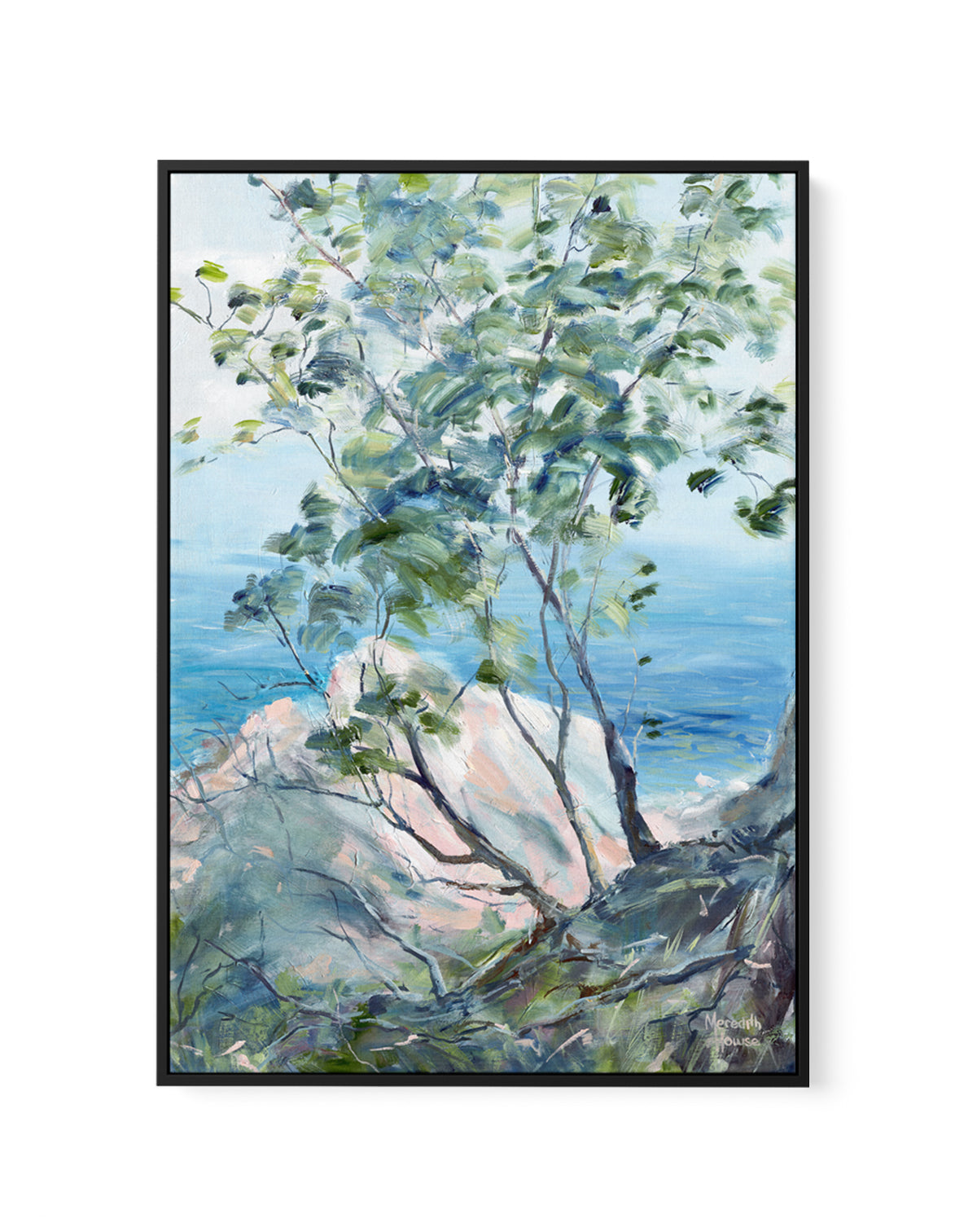 Noosa National Park 1 by Meredith Howse | Framed Canvas Art Print