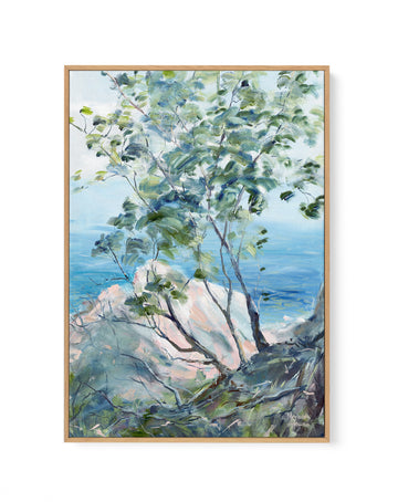 Noosa National Park 1 by Meredith Howse | Framed Canvas Wall Art