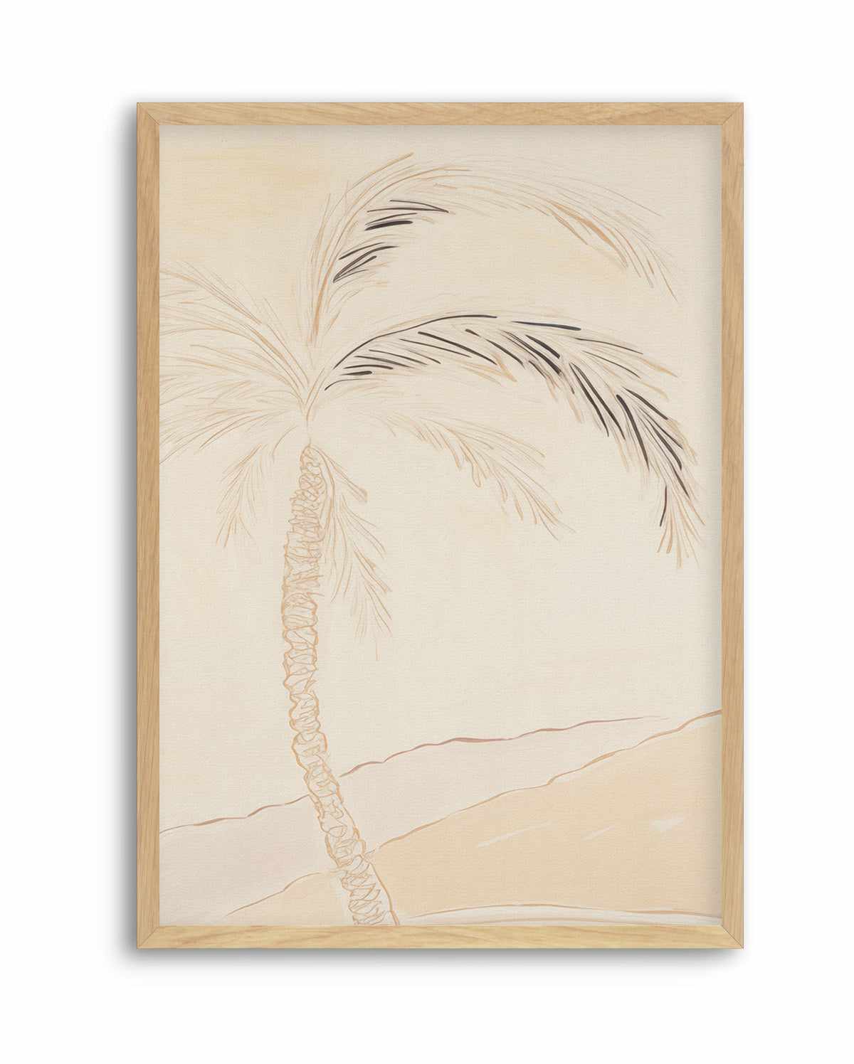 Noosa Palm Illustration No I | Art Print