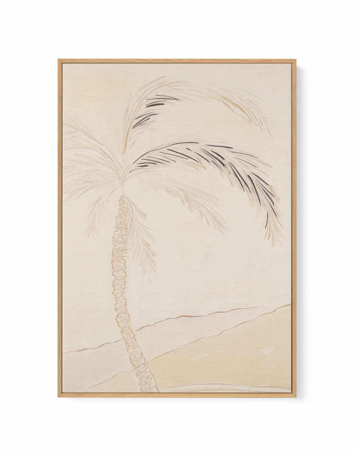 Noosa Palm Illustration No I | Framed Canvas Art Print