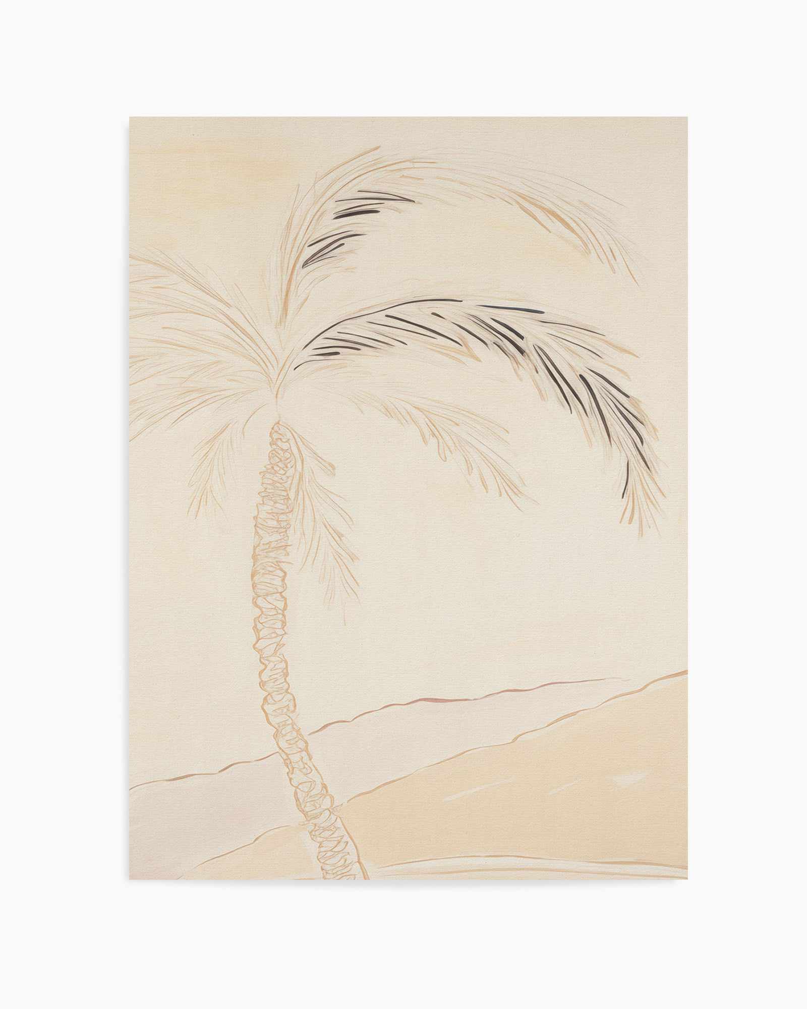 Noosa Palm Illustration No I | Art Print