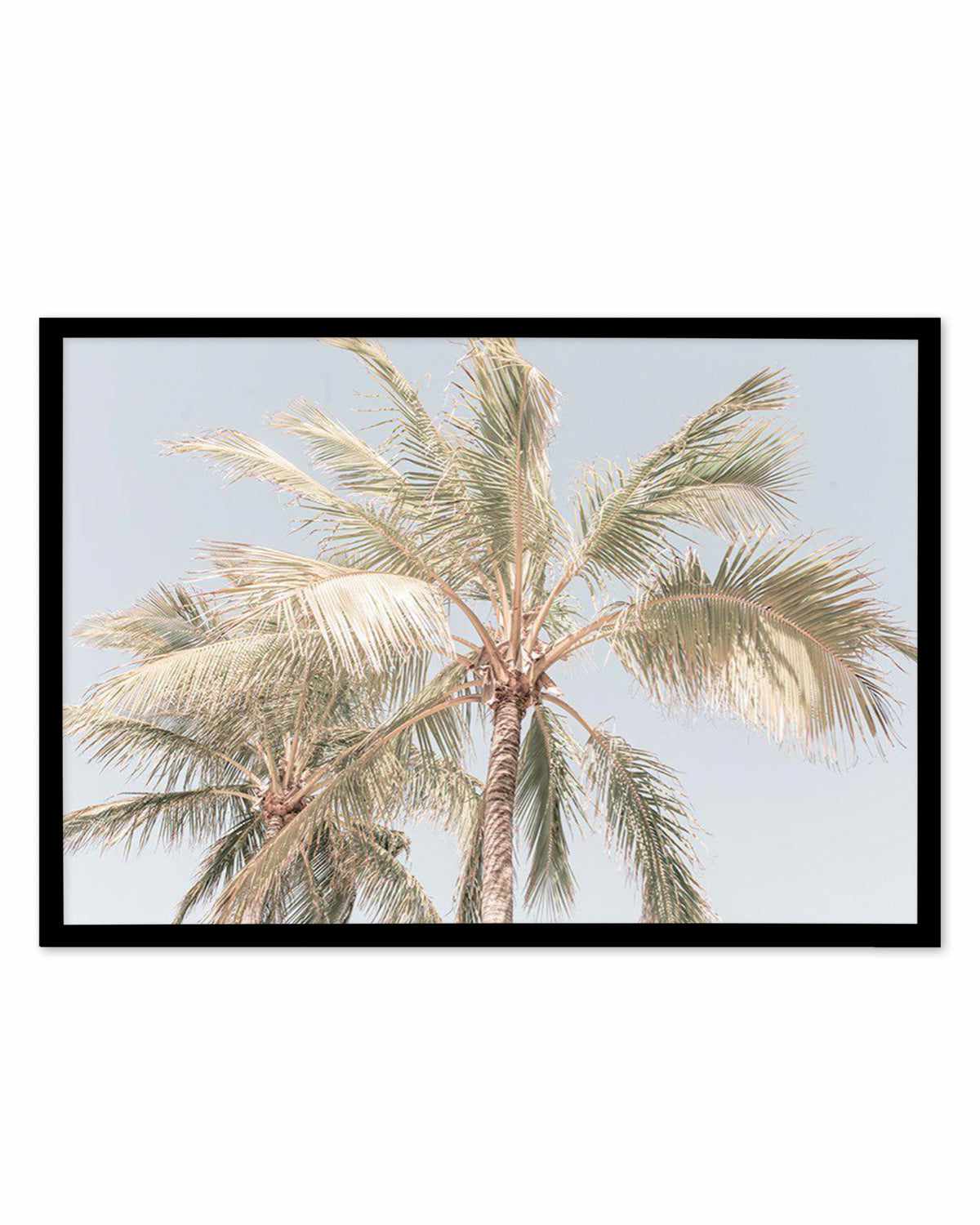 Noosa Palms I | LS Art Print