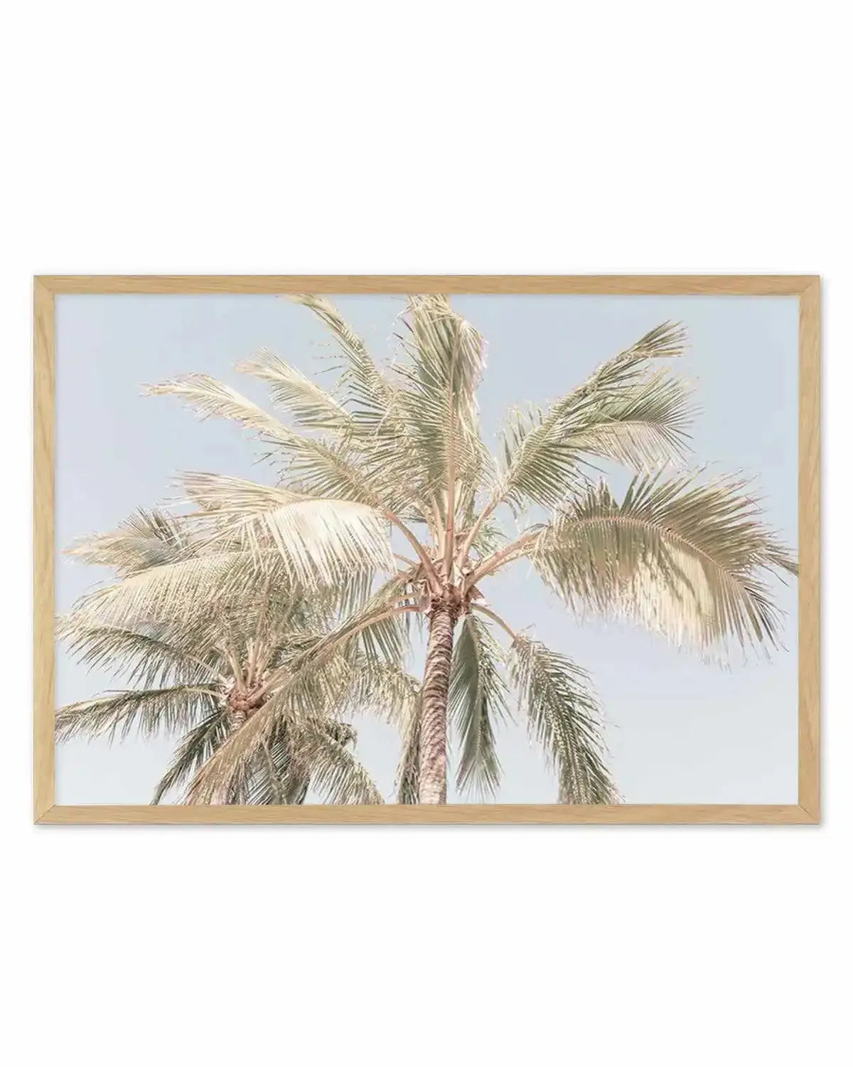 Noosa Palms I | LS Art Print from Olive et Oriel where you can shop wallpaper and artworks online