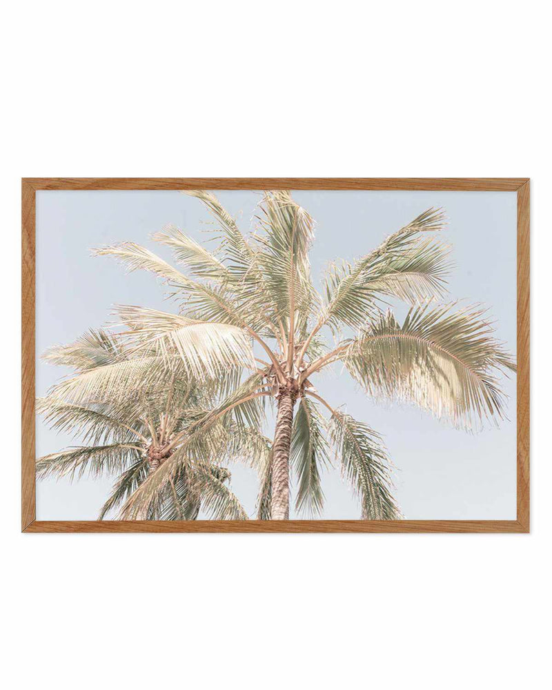 Noosa Palms I | LS Art Print
