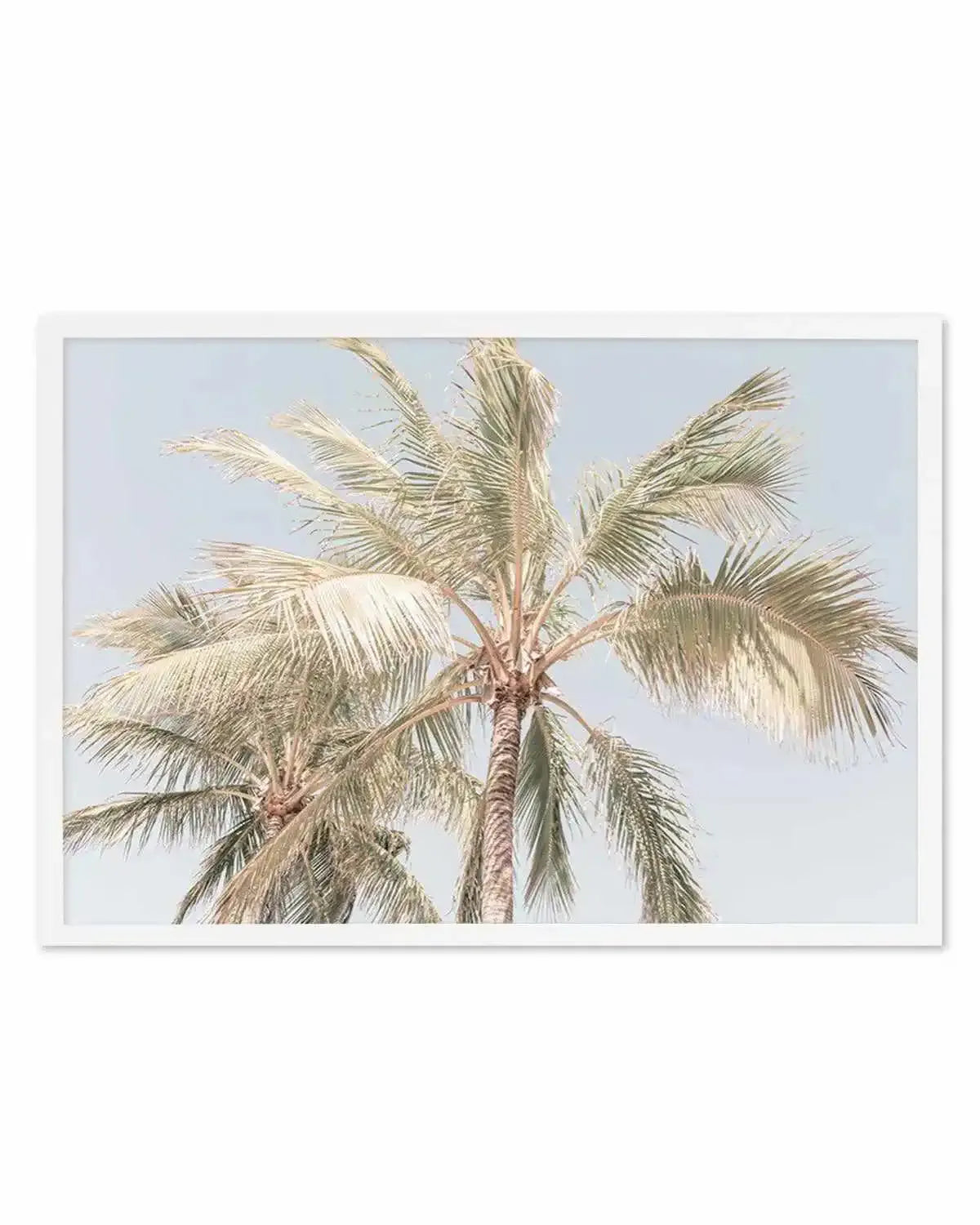 Noosa Palms I | LS Art Print from Olive et Oriel where you can shop wallpaper and artworks online